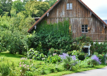 Прихистила стара батьківська хата: історія родини, яка рятувалася від обстрілів