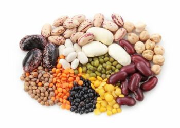 Рослинні білки важливі в раціоні