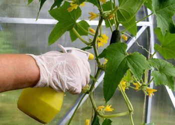 Напередодні початку сезону пора обирати обприскувач