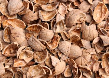 Шкаралупа з горіха може стати корисною для саду