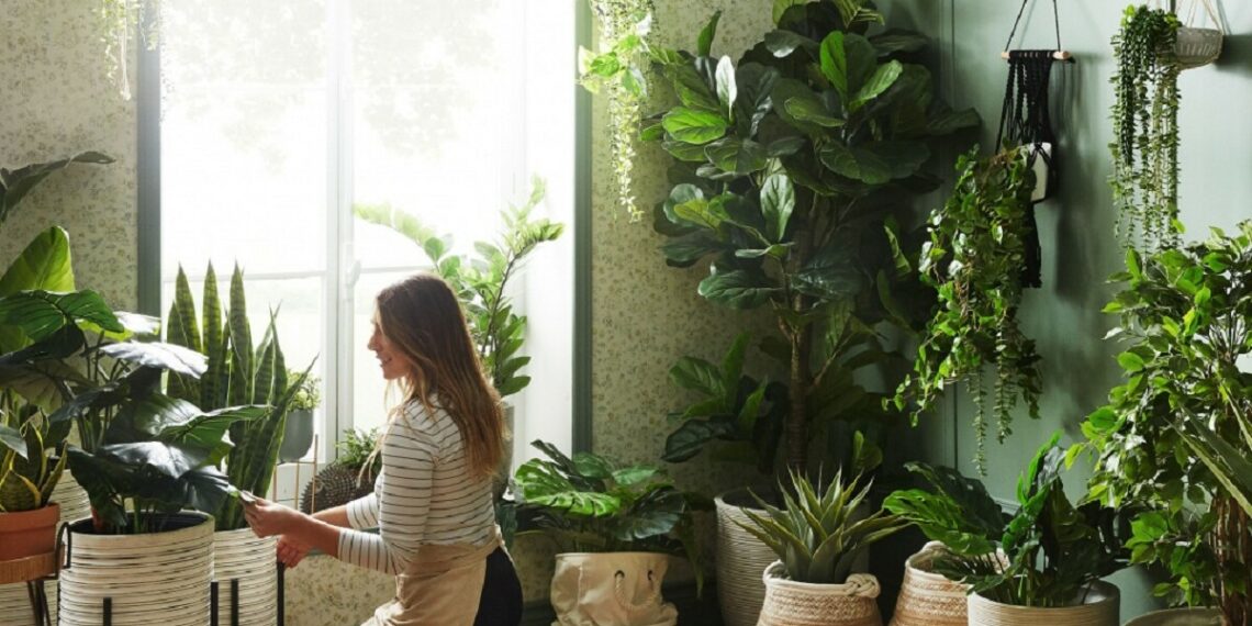 Бабусин метод для пишних та здорових вазонів