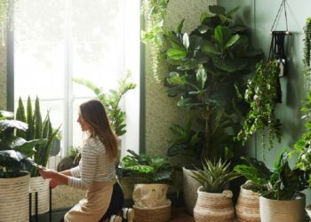 Бабусин метод для пишних та здорових вазонів