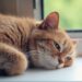 Фото ілюстративне: pixabay.com