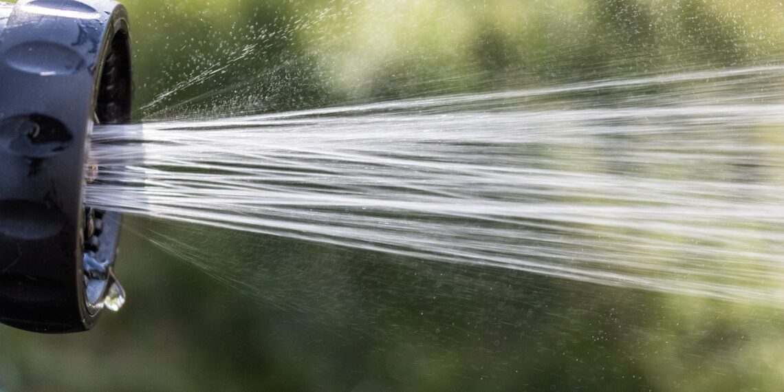 Під дерево слід вилити 3-5 літрів води. Фото Renee Gaudet з сайту Pixabay