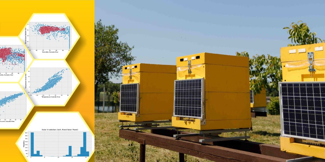 Дані, які отримують зі смартвуликів, оброблюють та систематизують для наукових досліджень. Фото з архіву Ігоря та Александри Курдіних.