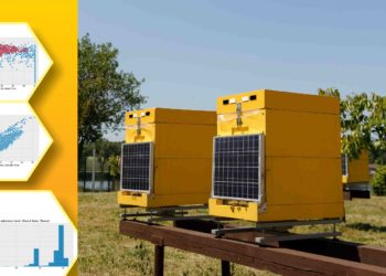 Дані, які отримують зі смартвуликів, оброблюють та систематизують для наукових досліджень. Фото з архіву Ігоря та Александри Курдіних.