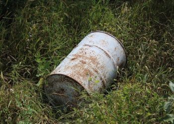 Фото: pixabay.com