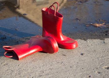 Фото: pixabay.com