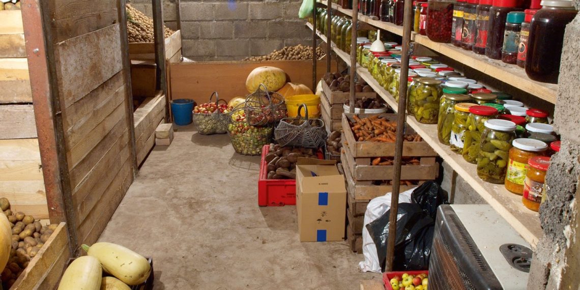 Перед тим як занести зібраний урожай у підвал чи погріб, його треба добре просушити на повітрі. Фото: poradnica.com.ua