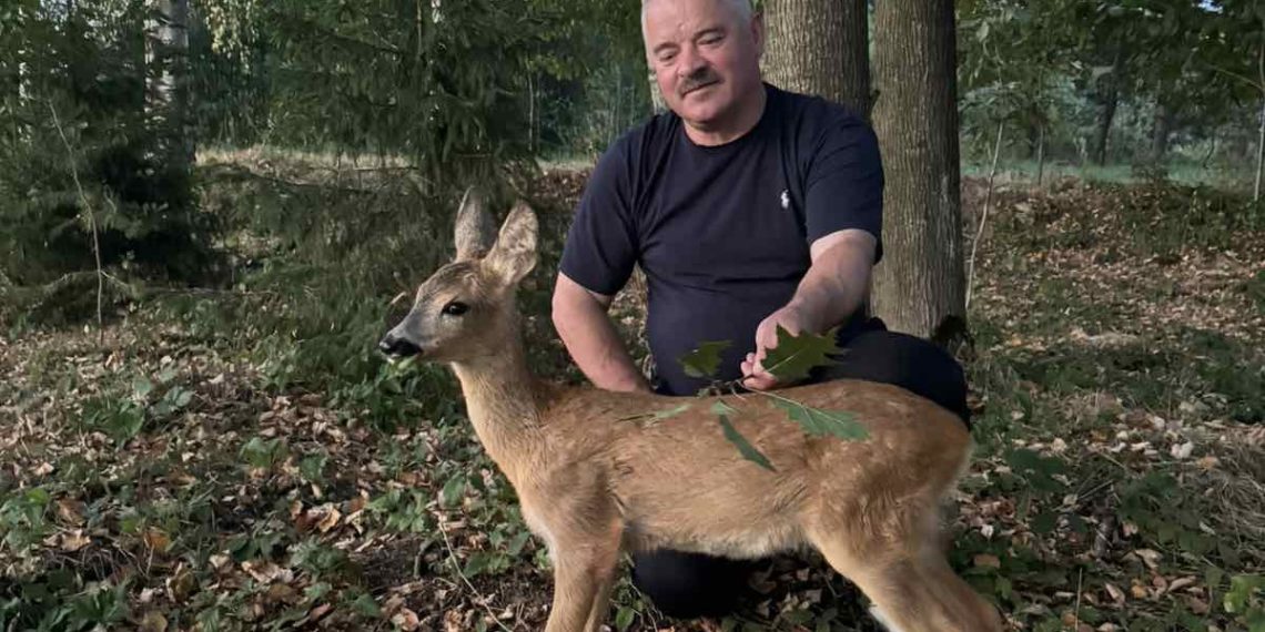 Для косуль Іван Деренько облаштував у лісі просторий вольєр. Він тричі на день приходить до них. Фото з домашнього архіву родини Деренько.