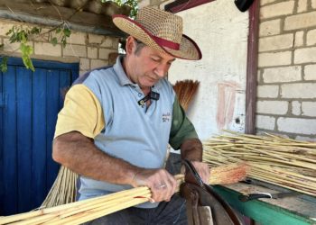 Микола не лише розводить віники, а й розводить гусей, доглядає за садом