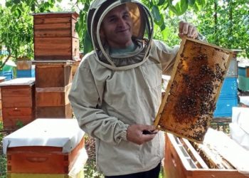 Станіслав Демидов оглядає рамку. Фото з архіву пасічника.