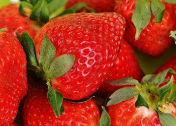 Для гарного урожаю попіклуйтеся про полуницю вчасно. Фото: pixabay.com