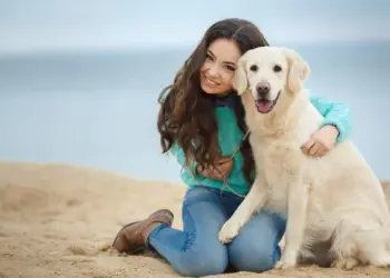 Хитрі оченята собаки сяяли переможним вогнем: «Ну, тепер ми точно залишимося у цьому райському куточку». Фото: st.depositphotos.com