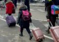 Якщо у 2022 році показник зайнятості ВПО становив всього 37 відсотків, то станом на кінець 2024 року – вже 56-ть. Фото: sylapravdy.com