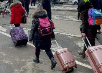 Якщо у 2022 році показник зайнятості ВПО становив всього 37 відсотків, то станом на кінець 2024 року – вже 56-ть. Фото: sylapravdy.com