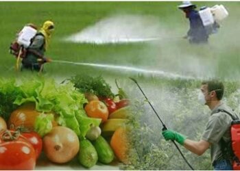 Процес обробки рослин слід проводити тільки рекомендованою концентрацією препаратів, не перевищуючи дозування. Фото: vingudpss.gov.ua