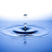 Фото: istockphoto.com
