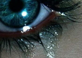 Фото: vidomosti-ua.com