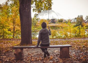 Фото ілюстративне: pixabay.com