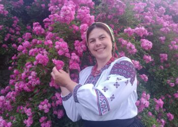 Наталія Рибак заготовляє пелюстки троянди. Фото автора.