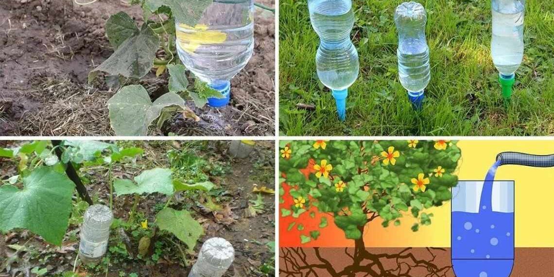 Це ефективний, економний спосіб поливу, адже вода потрапляє безпосередньо до коріння. Фото: suntimes.com.ua