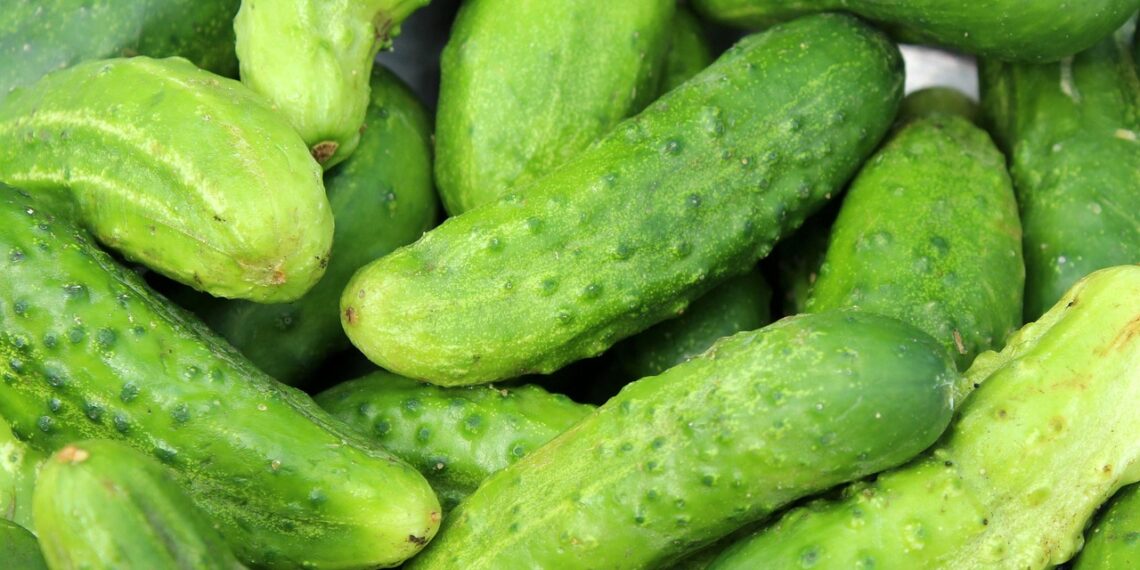 Літо в банці. Огірки. Фото: pixabay.com