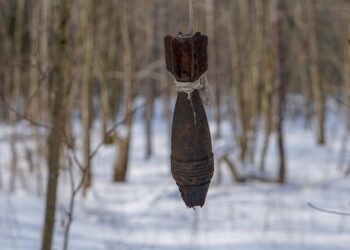 Всі небезпечні предмети можуть поранити або вбити нас. Зазвичай вони лежать на землі, але інколи можуть бути заховані в будівлях або деревах. Фото: pixabay.com