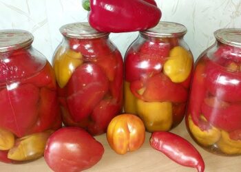 Літо в банці: помідори, перець, баклажани. Фото: i.ytimg.com
