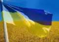 За період війни в українців з'явилися нові символи незламності