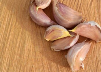 Для висаджування потрібно відбирати лише великі зубки. Фото: pixabay.com