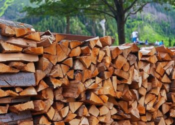 Дрова необхідно зберігати подалі від житлових приміщень для запобігання ризику пожежі та не розпалювати багаття поряд із місцем, де вони зберігаються. Фото: drova-kiev.in.ua