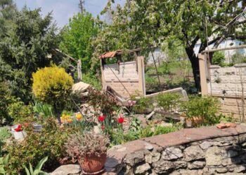 На фото: Так ворожа зброя знищує красу, яку багато років подружжя створювало власноруч. Фото надане співрозмовником.