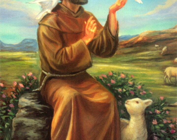 Приклад Франциска показує, що людське панування над природою не повинно бути жорстоким, а навпаки: має проявлятися через турботу, взаємодію та милосердя. Фото: propovidnyk.com.ua