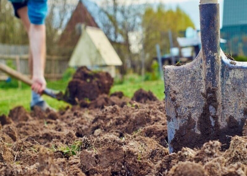 Більшість городників намагаються восени перекопати город. Вважається, що так ми готуємо ґрунт до майбутнього врожаю. Фото: sad-ogorod.in.ua