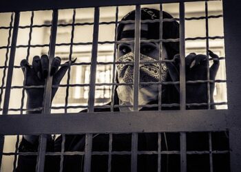 Фото: pixabay.com. Державна установа не приймає оплату на особисті банківські картки фізичних осіб. Усі офіційні платежі здійснюються лише на державні рахунки, через офіційні каси банків або платіжні термінали.