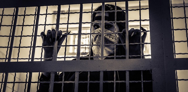 Фото: pixabay.com. Державна установа не приймає оплату на особисті банківські картки фізичних осіб. Усі офіційні платежі здійснюються лише на державні рахунки, через офіційні каси банків або платіжні термінали.