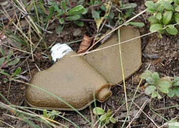 Фото ілюстративне з сайту АрміяІнформ