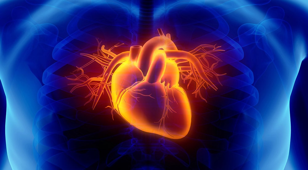 Серцева недостатність – це стан організму, при якому серце не може забезпечувати кровообіг. Фото: neuroglobal.if.ua