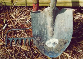 Фото: pixabay.com