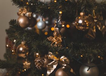 Фото: pixabay.com