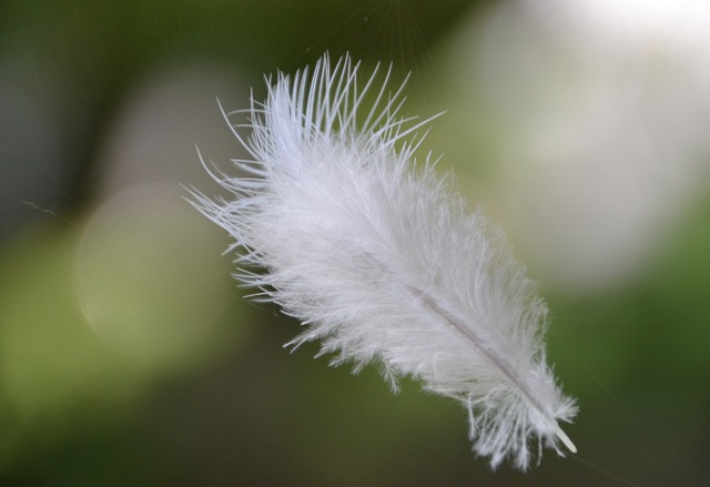 Фото: pixabay.com