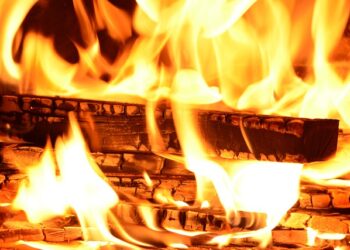 Фото pixabay.com