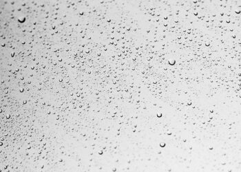 Найпоширенішими причинами цвілі на вікнах і стінах є висока вологість. Фото pixabay.com