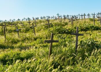 Фото: pixabay.com