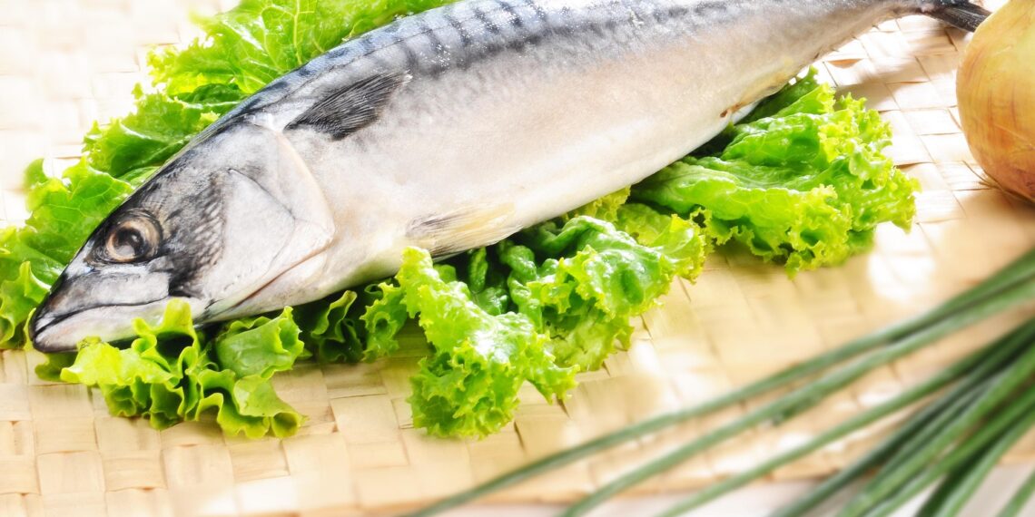 Рибний тиждень. Фото: pixabay.com