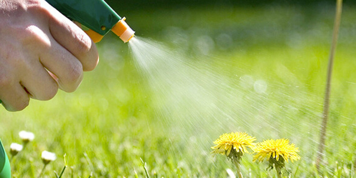 Видалити бур’яни з грядок допоможуть домашні засоби. Фото: aoplatforma.com