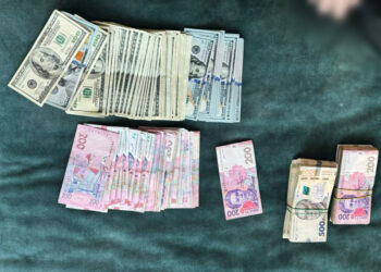 З кожним днем вдосконалюються схеми тих, хто не лише сам не став на захист батьківщини, віднайшовши при цьому найхитріші оборудки й ницо сховавшись, а й зухвало й безсовісно намагається нажитися на горі рідних загиблих, зниклих, полонених.