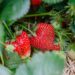 Фото ілюстративне: pixabay.com
