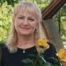 Троянди – окраса подвір’я господині. Вони прикрашають і вулицю. Фото надані
